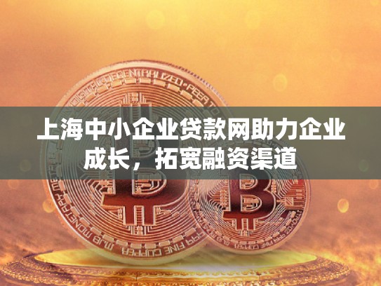 上海中小企业贷款网助力企业成长，拓宽融资渠道