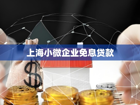 上海小微企业免息贷款
