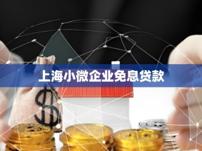 上海小微企业免息贷款