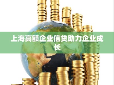 上海高额企业信贷助力企业成长